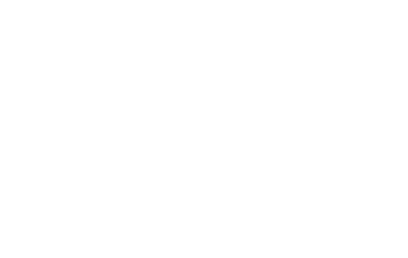 Orchestra